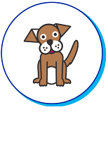 Entre 150 et 2000 € chien